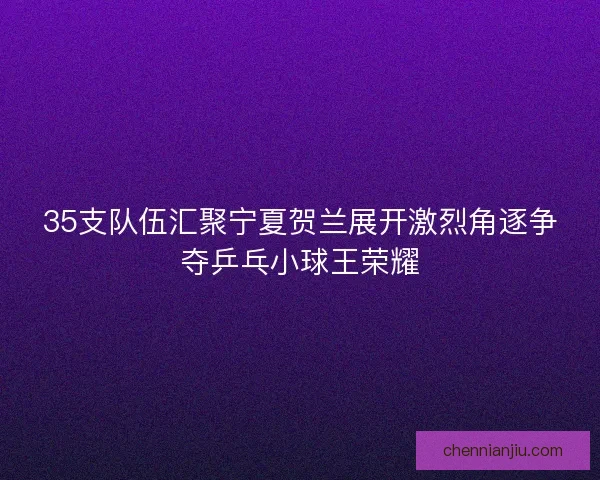 35支队伍汇聚宁夏贺兰展开激烈角逐争夺乒乓小球王荣耀